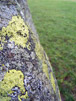 Stone ii